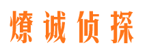 河北区市场调查